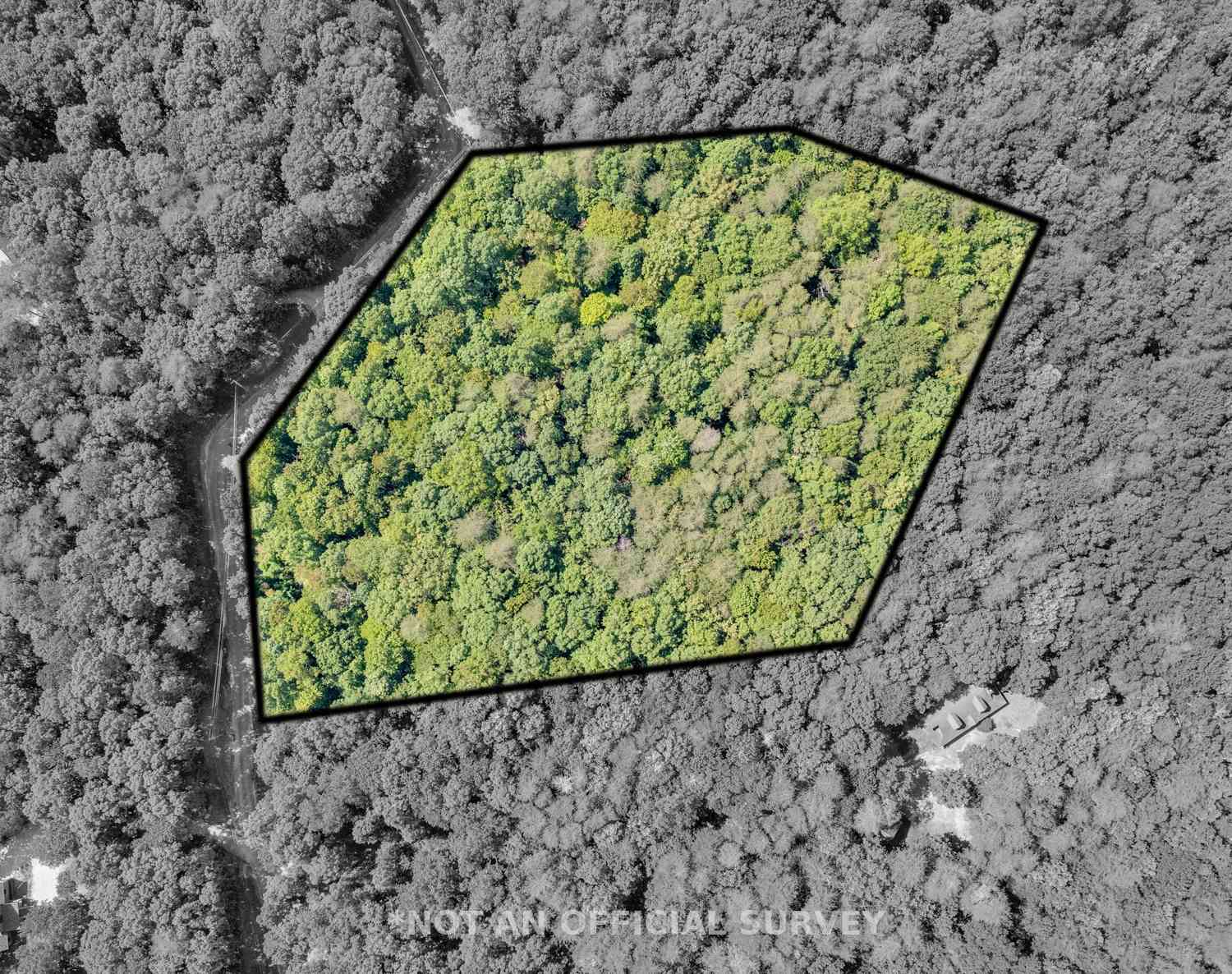 Vacant Land For Sale - Bluff View<br/> Van Buren County, Spencer, TN 38585