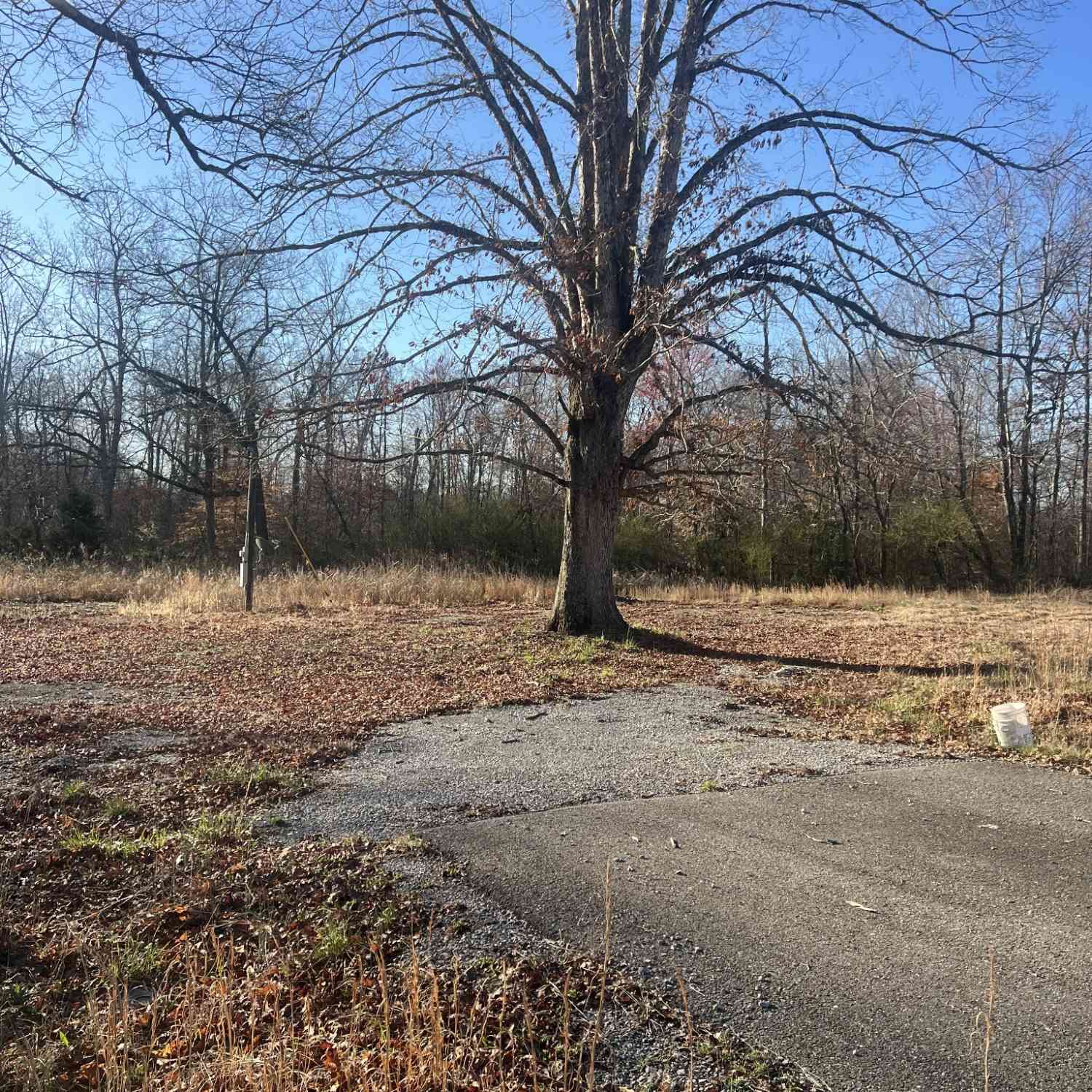 Vacant Land For Sale - 148 Mullican Rd<br/> Warren County County, McMinnville, TN 37110