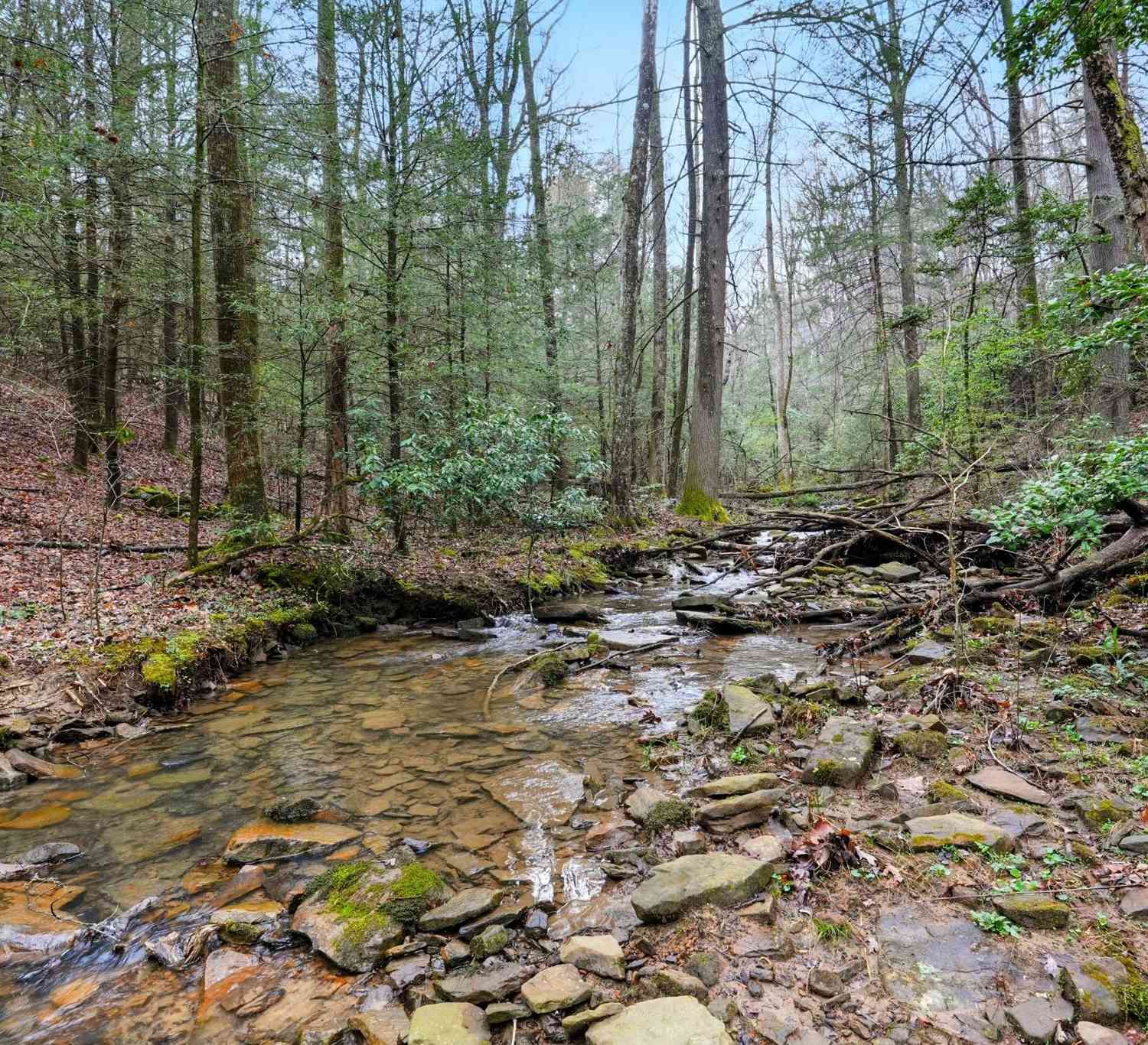 Vacant Land For Sale - 2424 Corral Road<br/> Hamilton County, Signal Mountain, TN 37377
