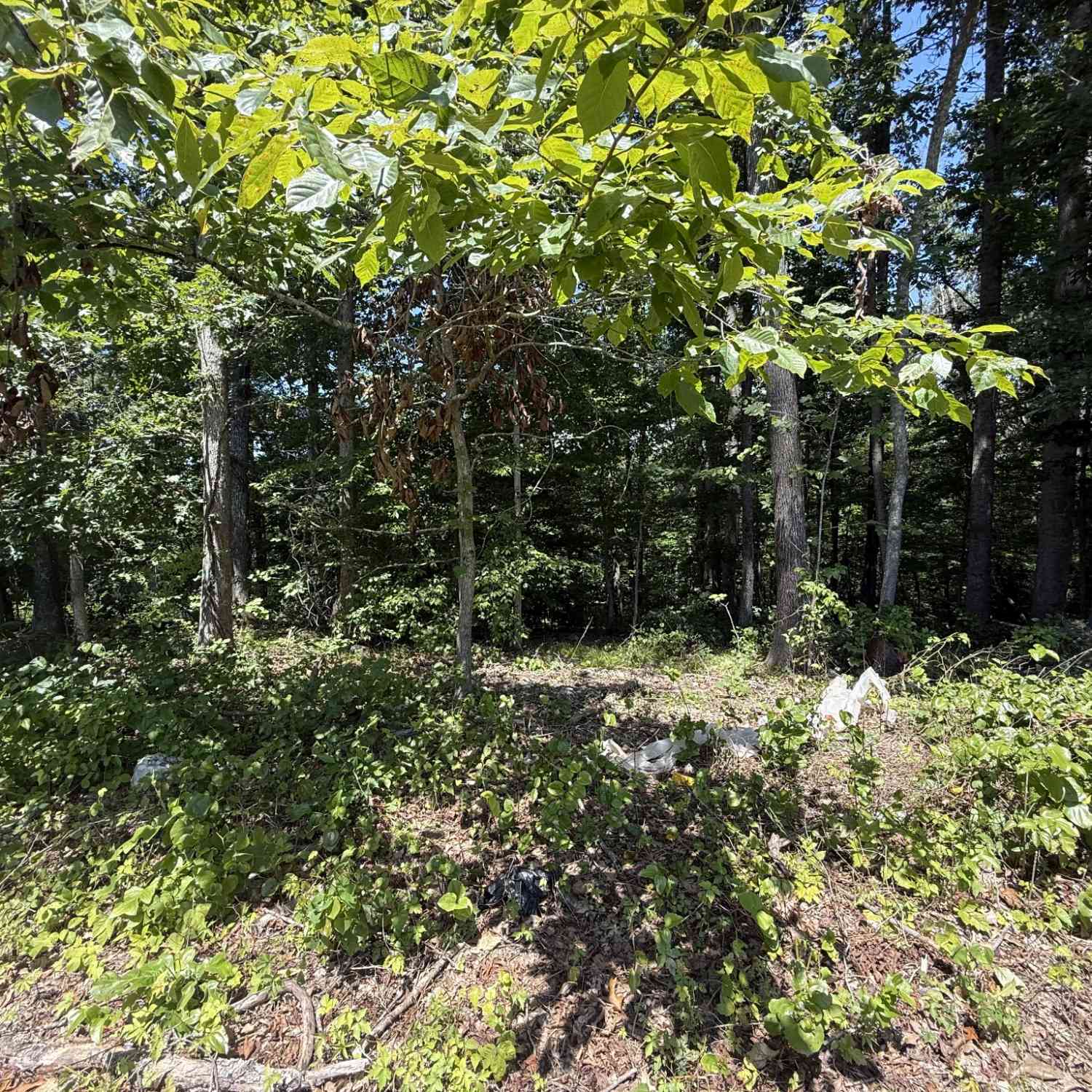Vacant Land For Sale - Trailwood Ct<br/> Joelton, TN 37080