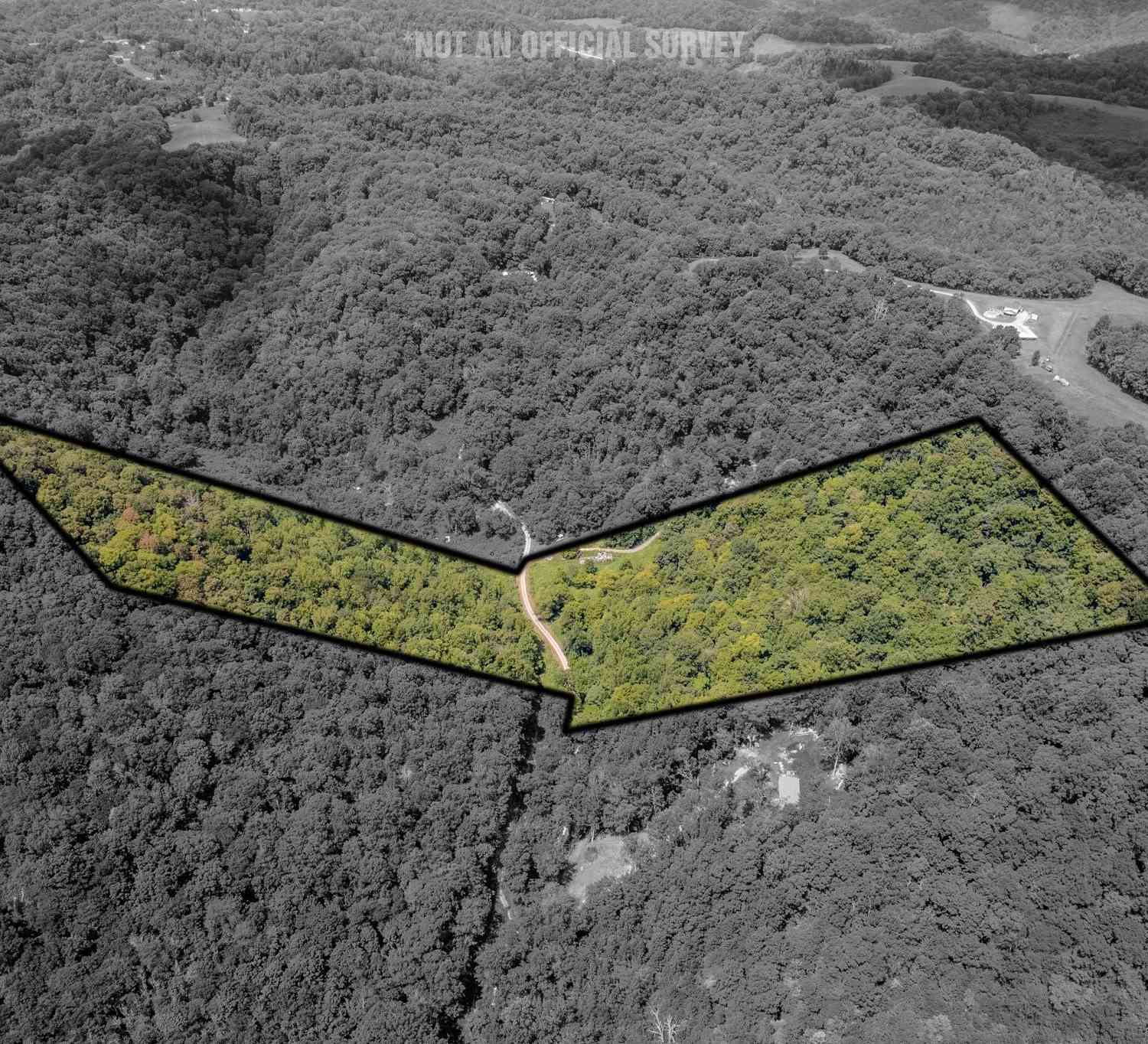 Vacant Land For Sale - Watts Hollow Rd<br/> Buffalo Valley, TN 38548