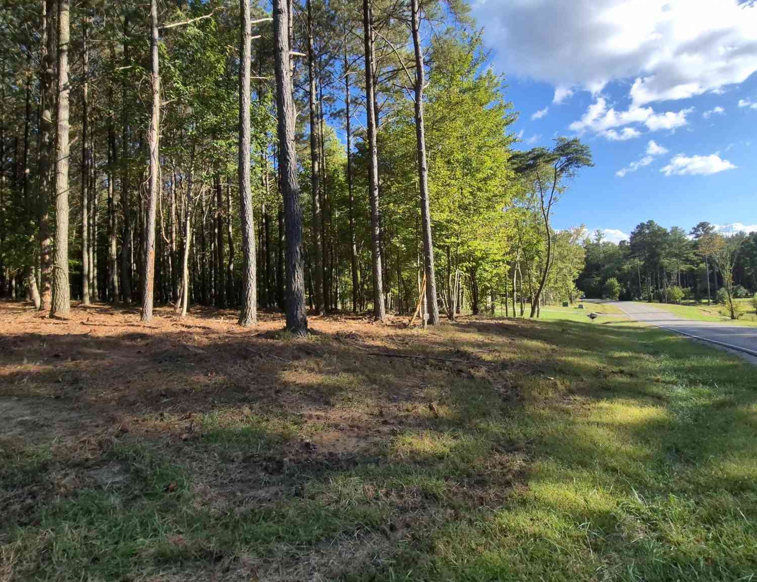 Vacant Land For Sale - 4560 Raulston Falls Road<br/> Jasper, TN 37347