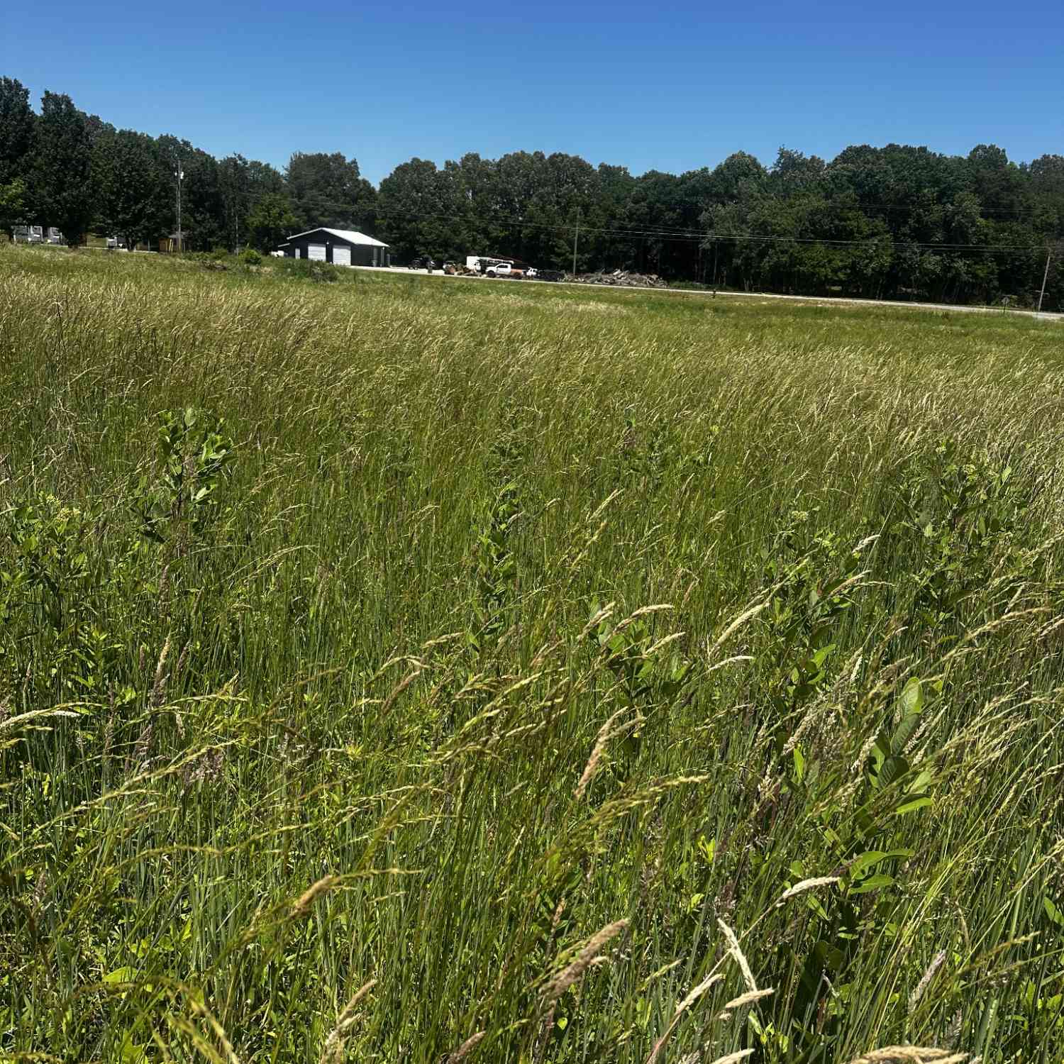 Vacant Land For Sale - Lp Bradford Rd<br/> Franklin County County, Estill Springs, TN 37330