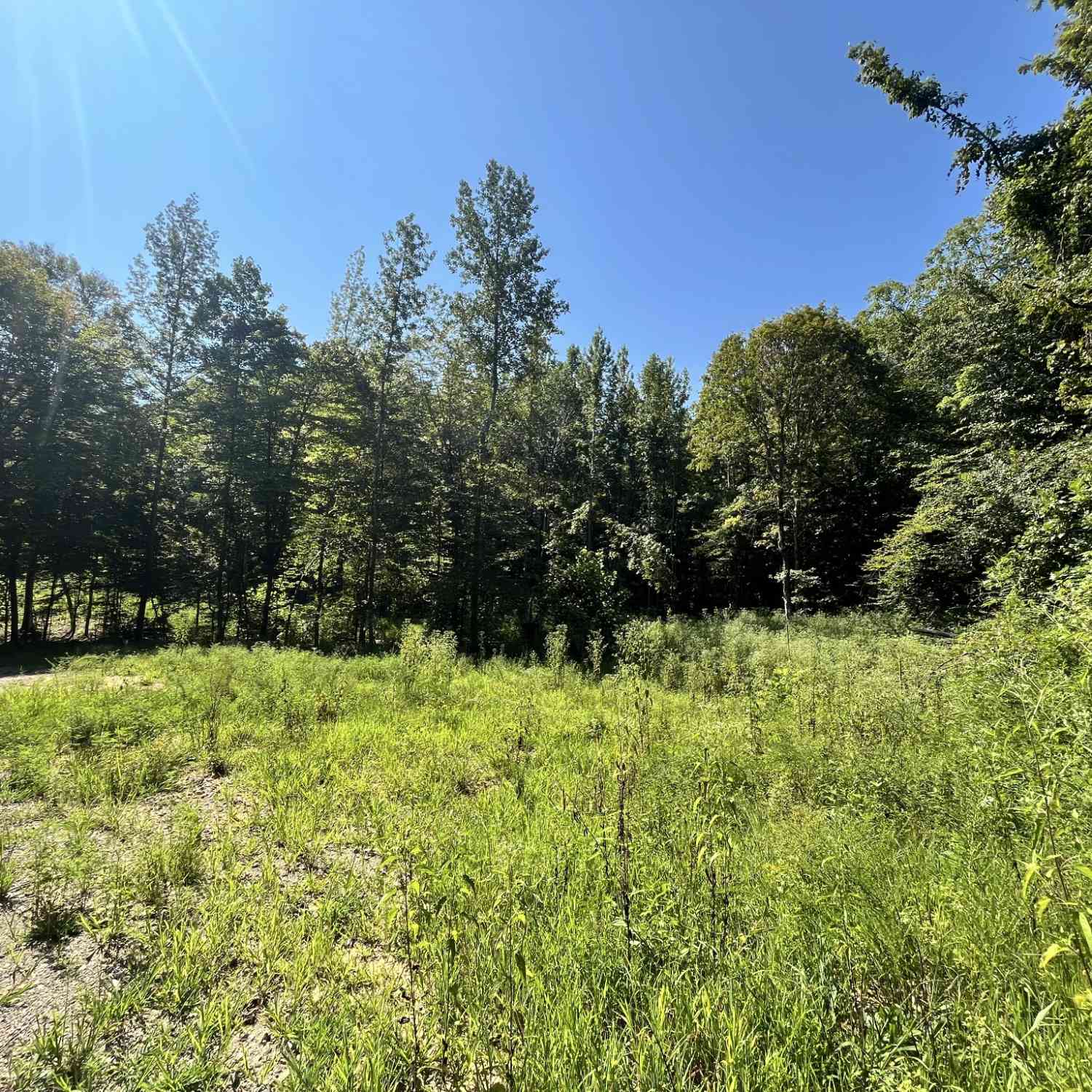 Vacant Land For Sale - Big Sink Road<br/> Warren County County, McMinnville, TN 37110