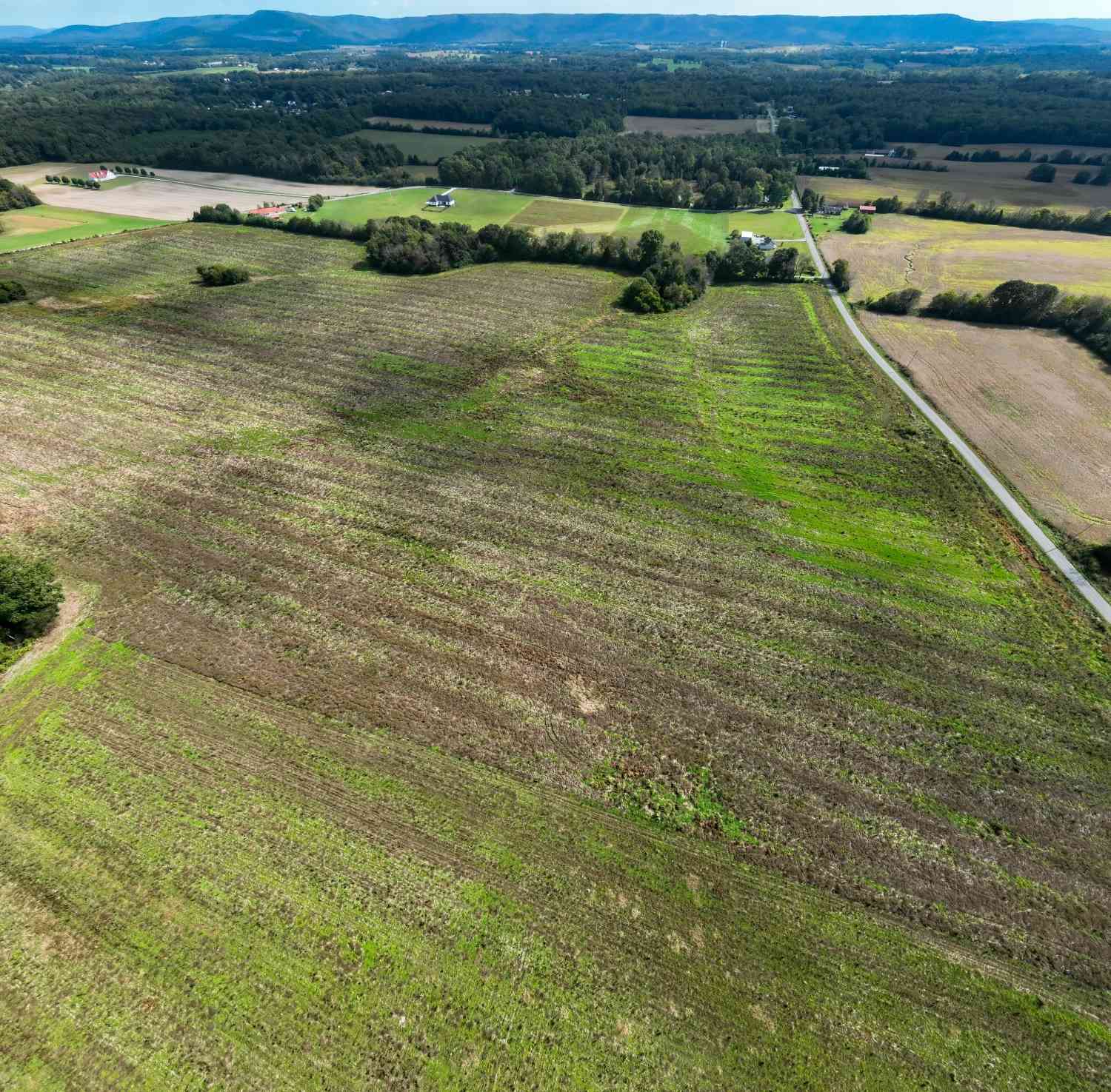 Vacant Land For Sale - 1 Newt Vanattia Rd<br/> Coffee County County, Hillsboro, TN 37342