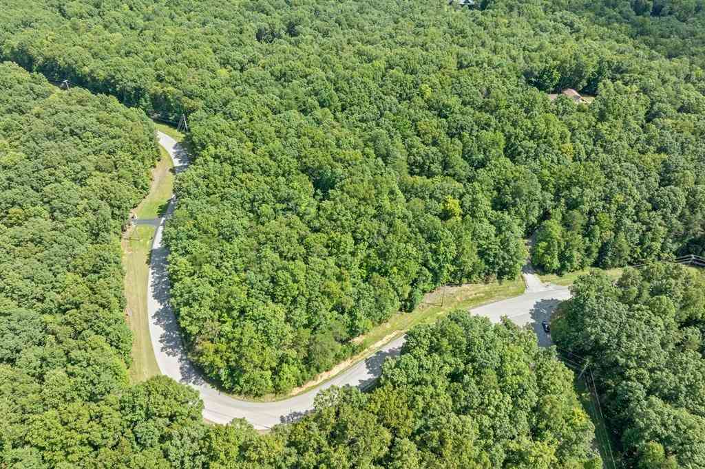 Vacant Land For Sale - Cumberland Cove Rd<br/> Monterey, TN 38574