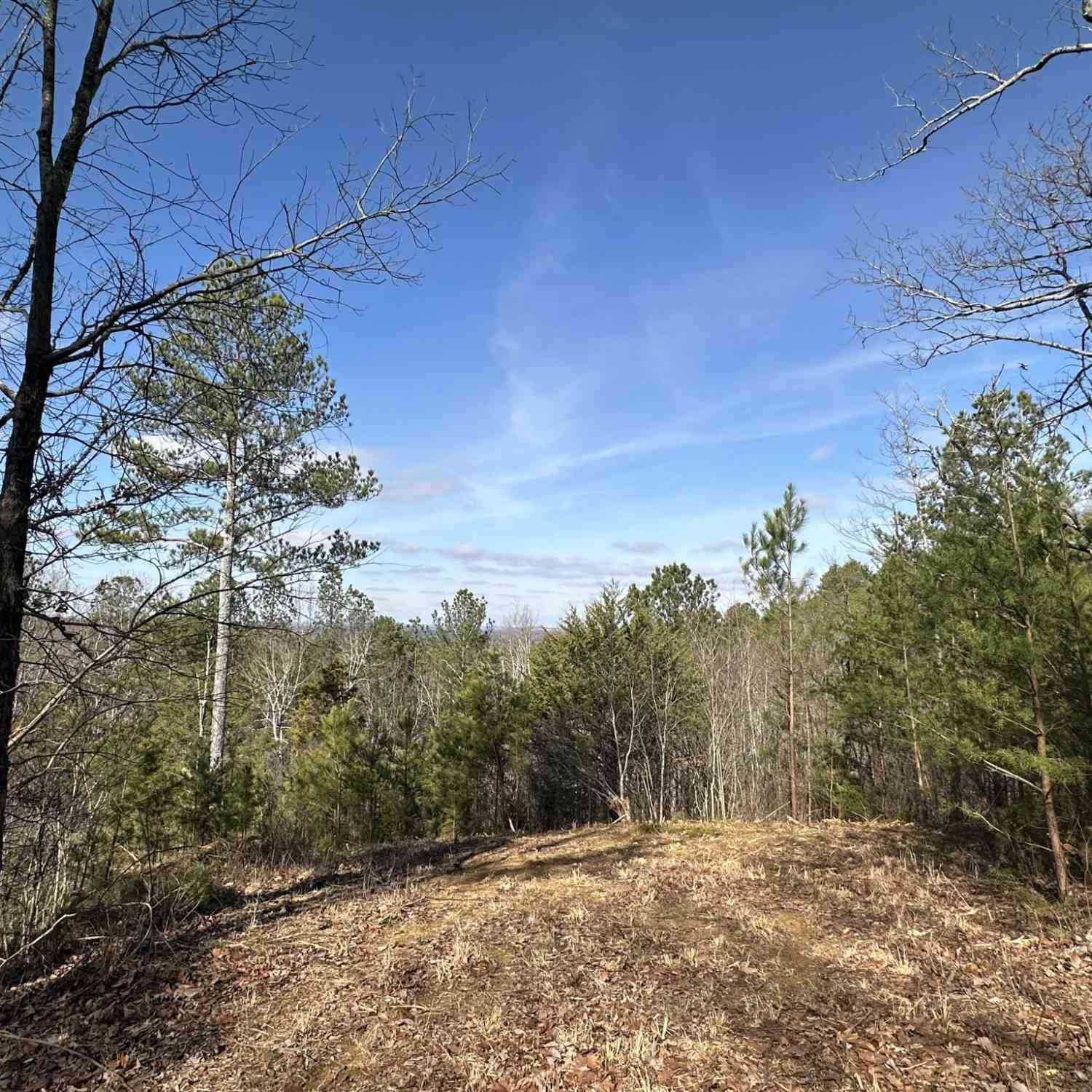 Vacant Land For Sale - 125 Fox Trail Drive<br/> Old Fort, TN 37362