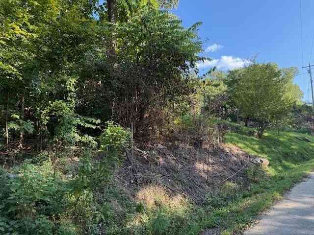 Vacant Land For Sale - 13 Mullins Cove Road<br/> Whitwell, TN 37397