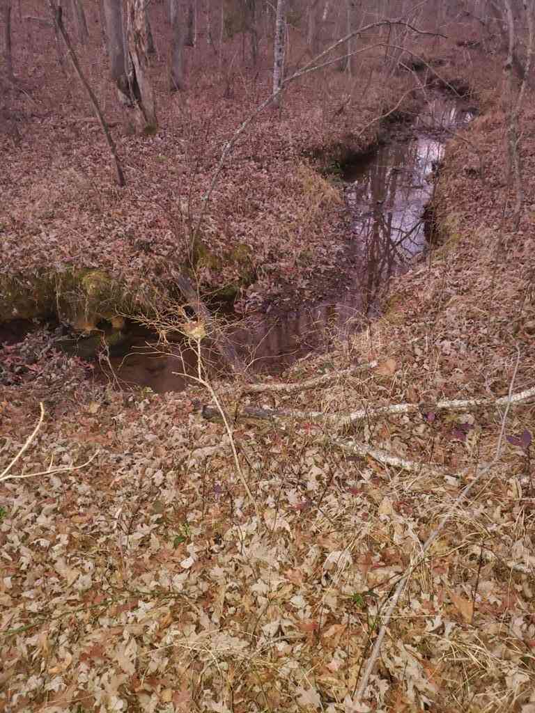 Vacant Land For Sale - Indian Trl<br/> Monterey, TN 38574