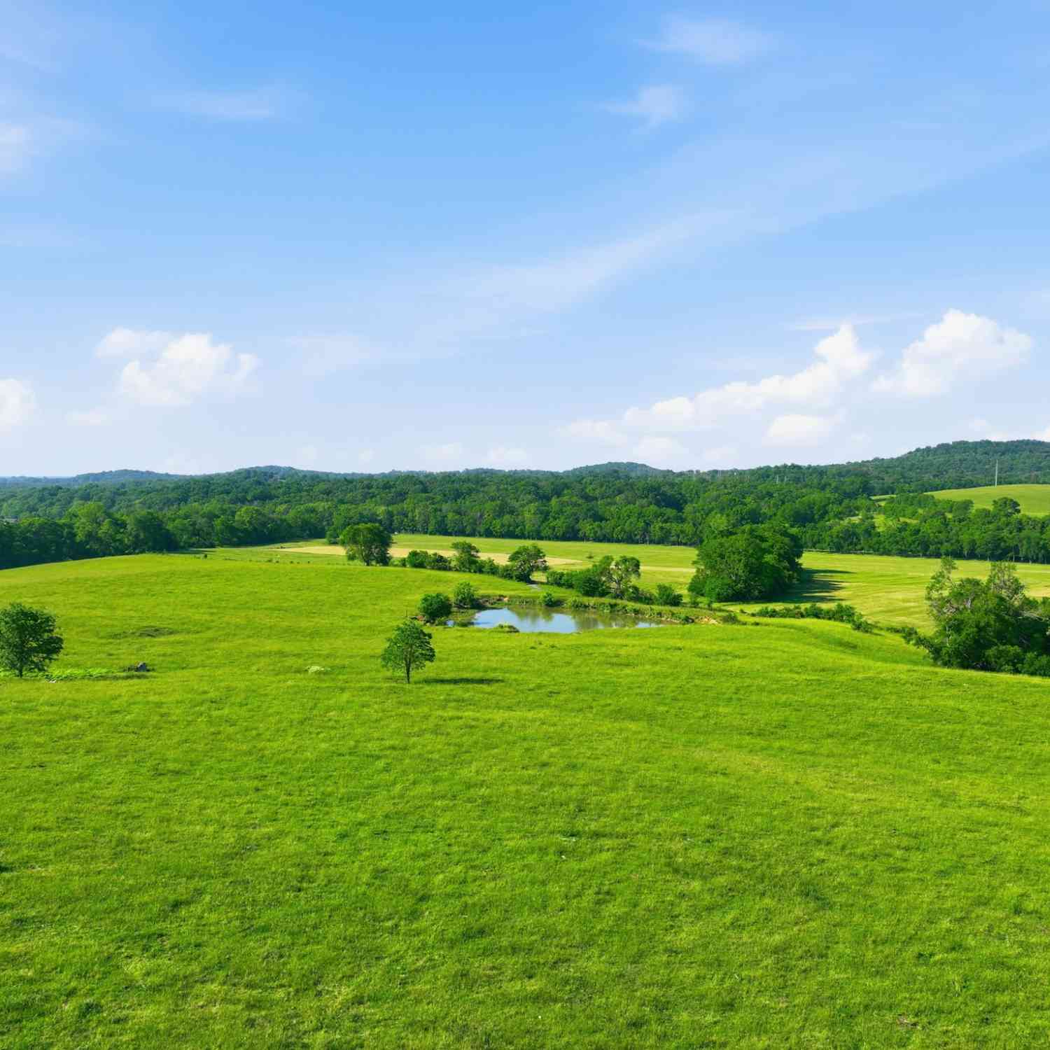 Vacant Land For Sale - 3 Deshea Creek Rd<br/> Sumner County County, Gallatin, TN 37066