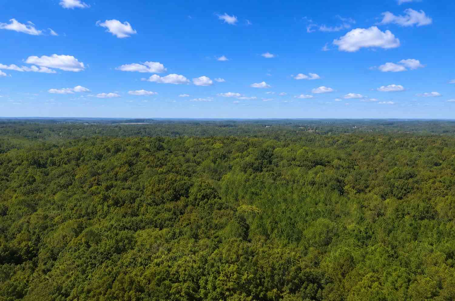 Homes For Sale - 138 Vaughn Rd<br/> Dickson County County, Charlotte, TN 37036