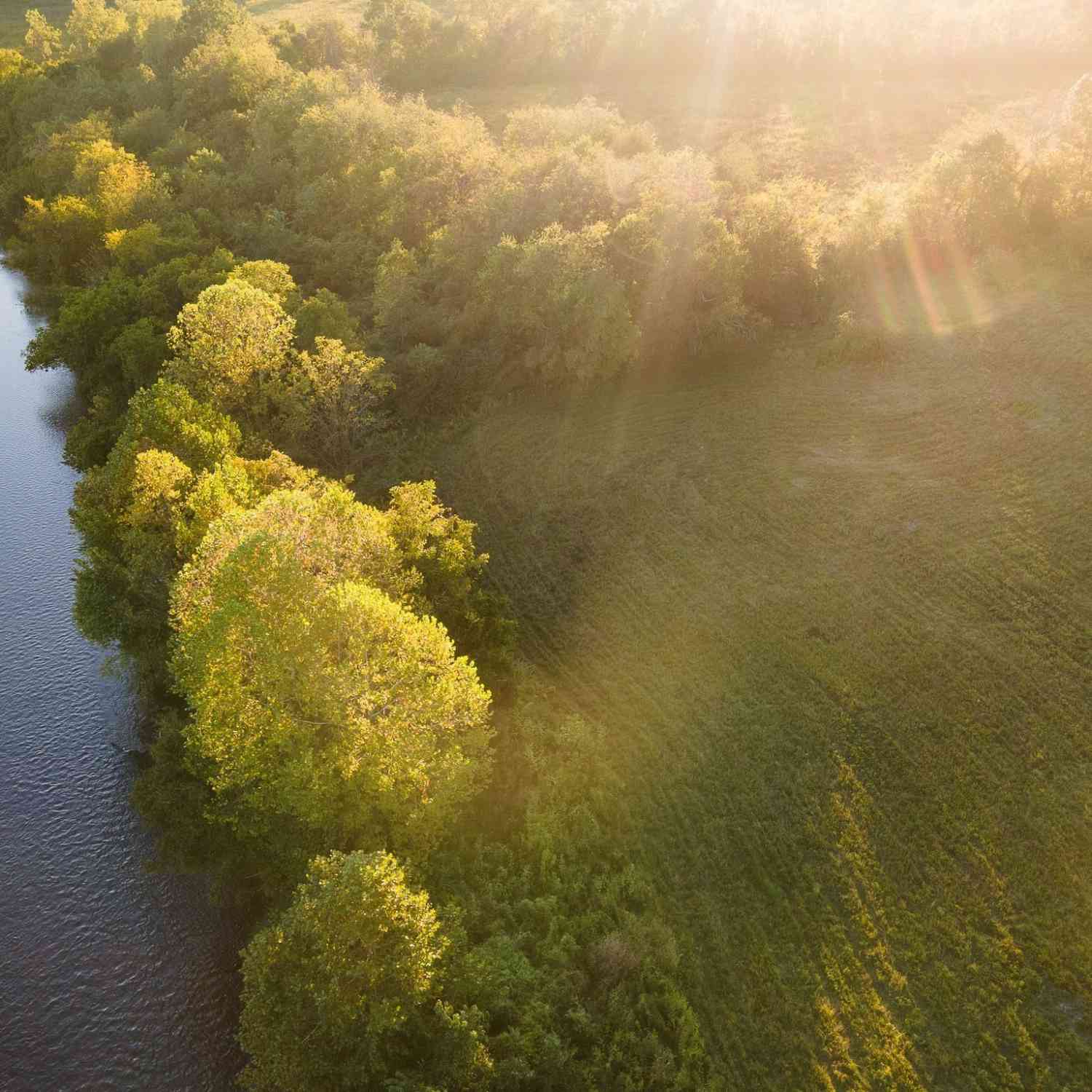 Vacant Land For Sale - Narrows Of The Harpeth Rd<br/> Kingston Springs, TN 37082
