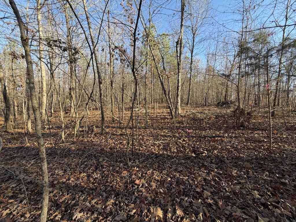 Vacant Land For Sale - Hatley Rd<br/> Lyles, TN 37098