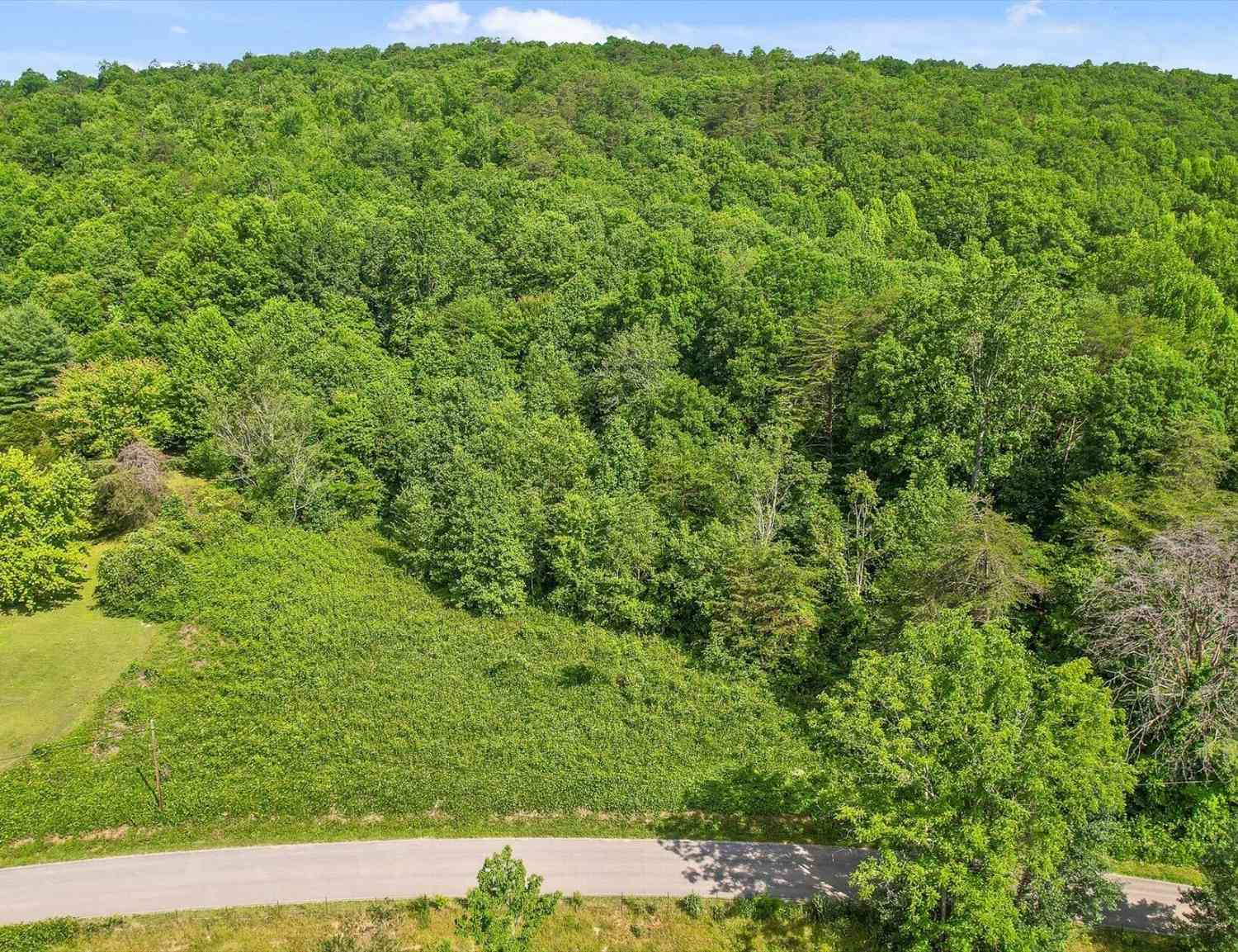 Vacant Land For Sale - 4300 Pocket Road<br/> Whitwell, TN 37397