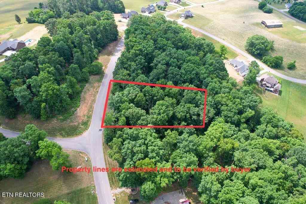 Vacant Land For Sale - 1955 Turner Landing Rd<br/> Russellville, TN 37860