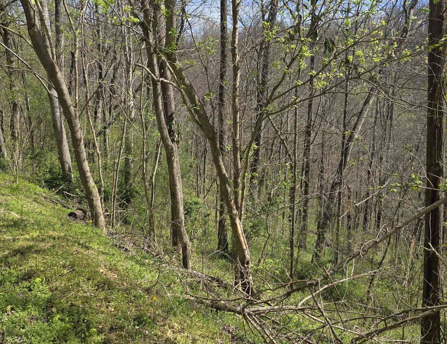 Vacant Land For Sale - 2 Shoreside Dr<br/> Smithville, TN 37166