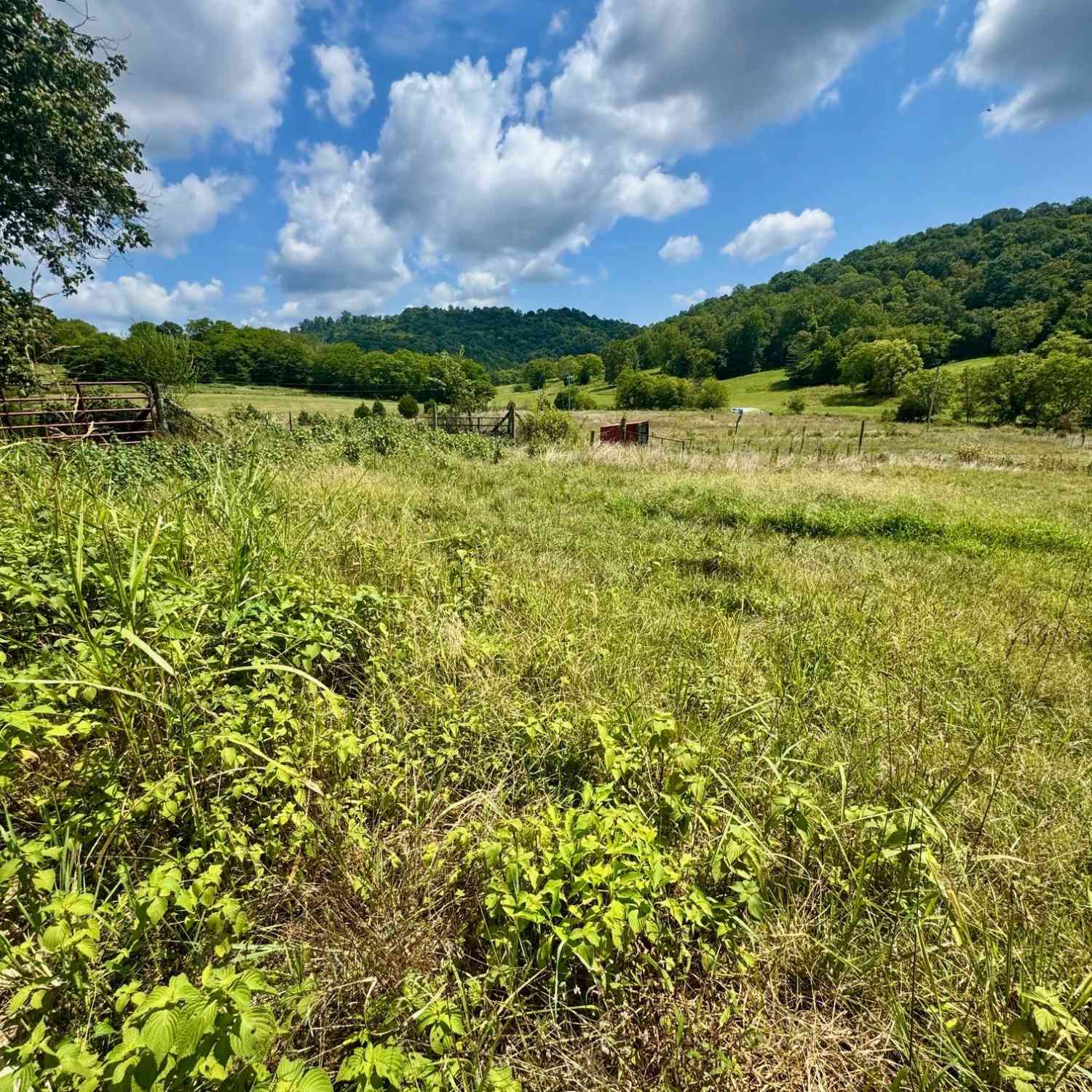 Vacant Land For Sale - Duke Hollow Ln<br/> Carthage, TN 37030