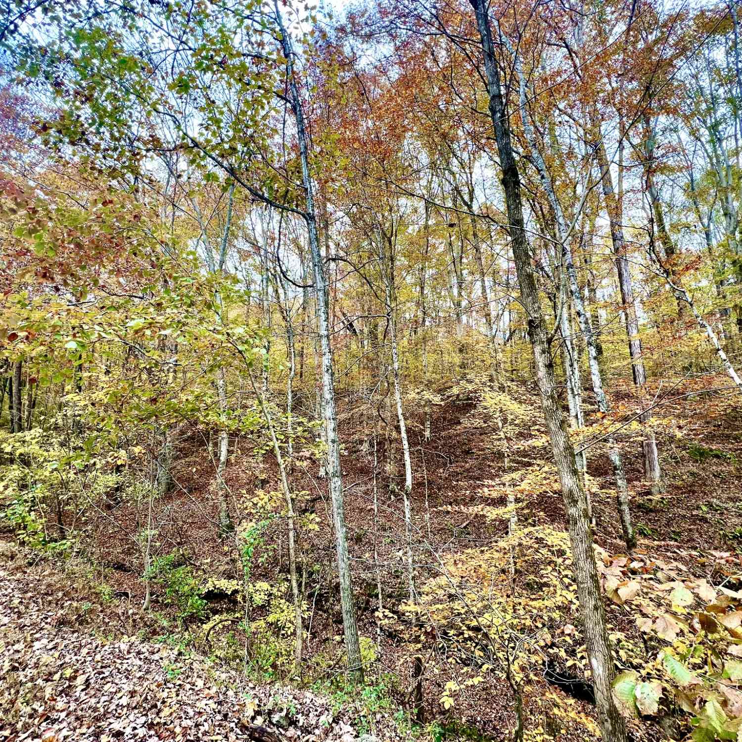 Vacant Land For Sale - West Garretts Creek Rd<br/> Sumner County County, Westmoreland, TN 37186