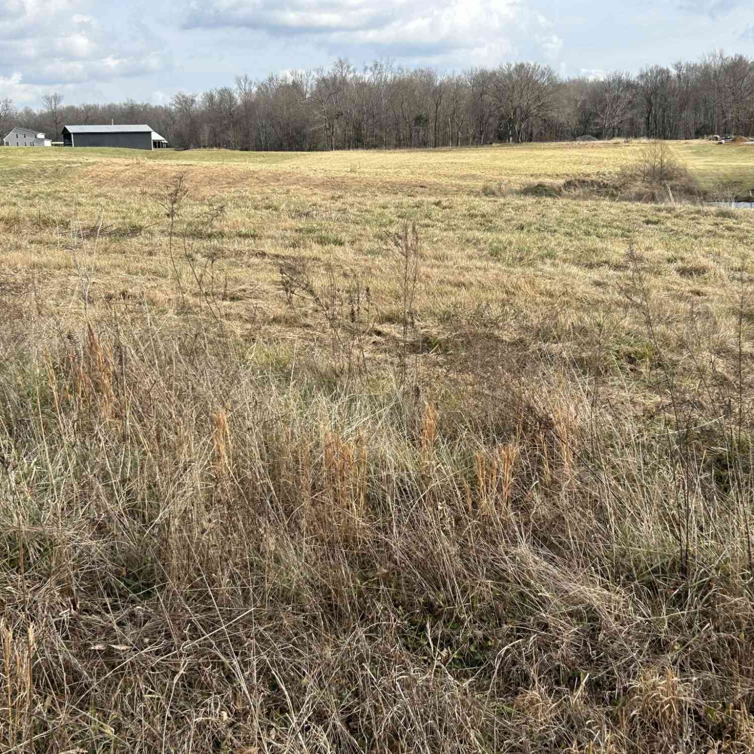 Vacant Land For Sale - Thomasville Road<br/> Chapmansboro, TN 37035