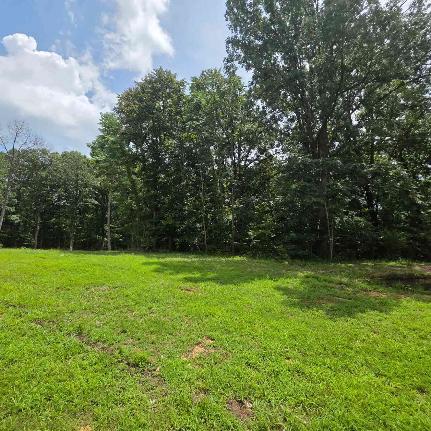 Vacant Land For Sale - Baggett Hollow<br/> Cunningham, TN 37052