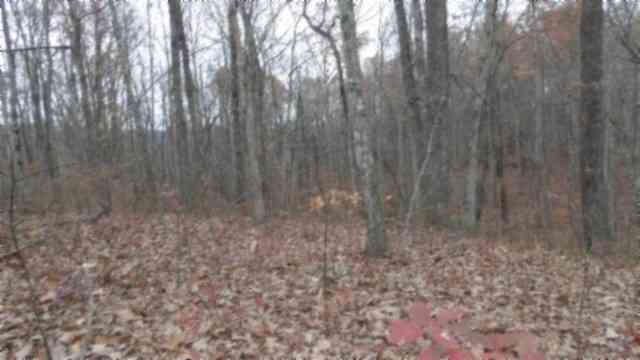 Vacant Land For Sale - Cumberland Cove Rd<br/> Monterey, TN 38574