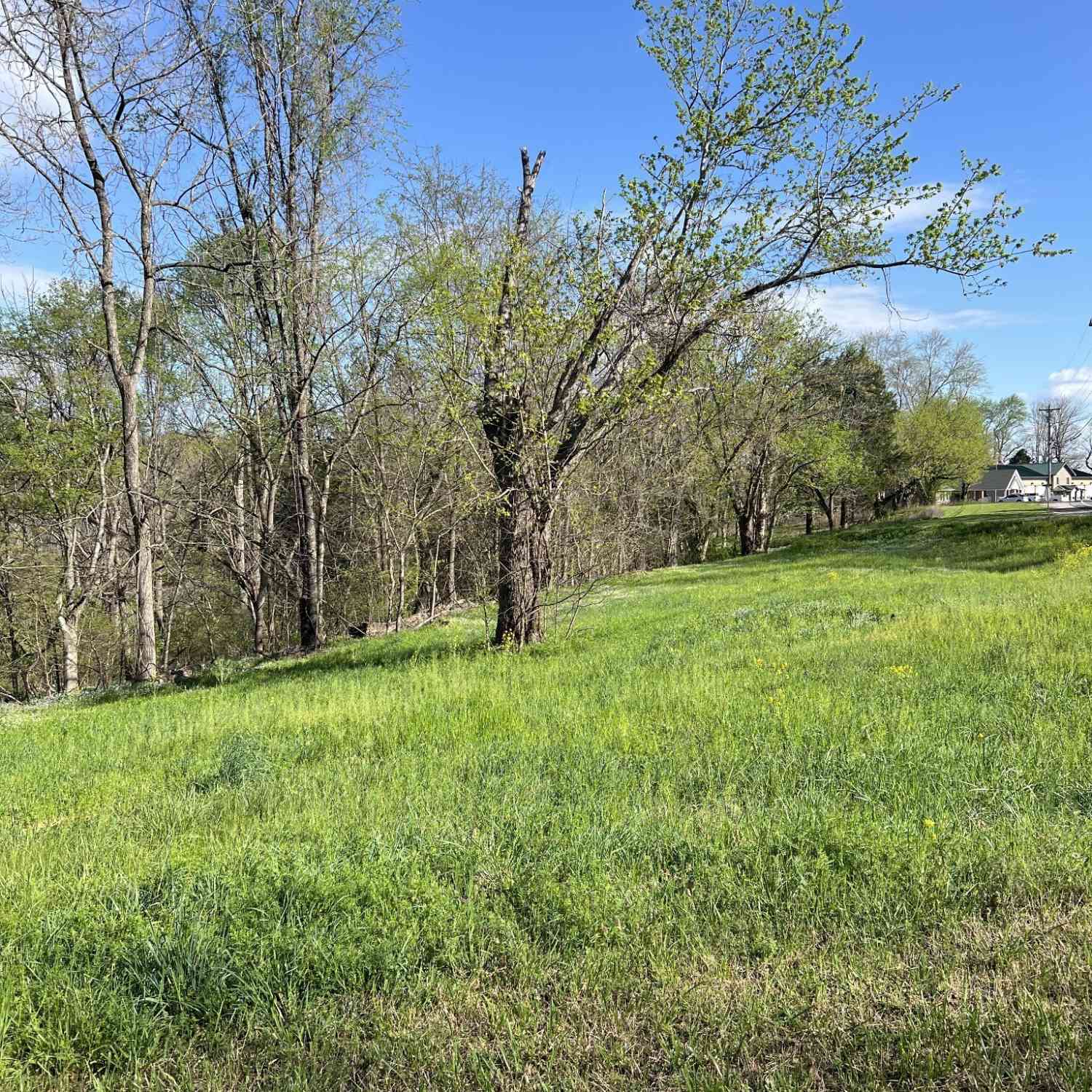 Vacant Land For Sale - Lafayette Road<br/> Macon County, Red Boiling Springs, TN 37150