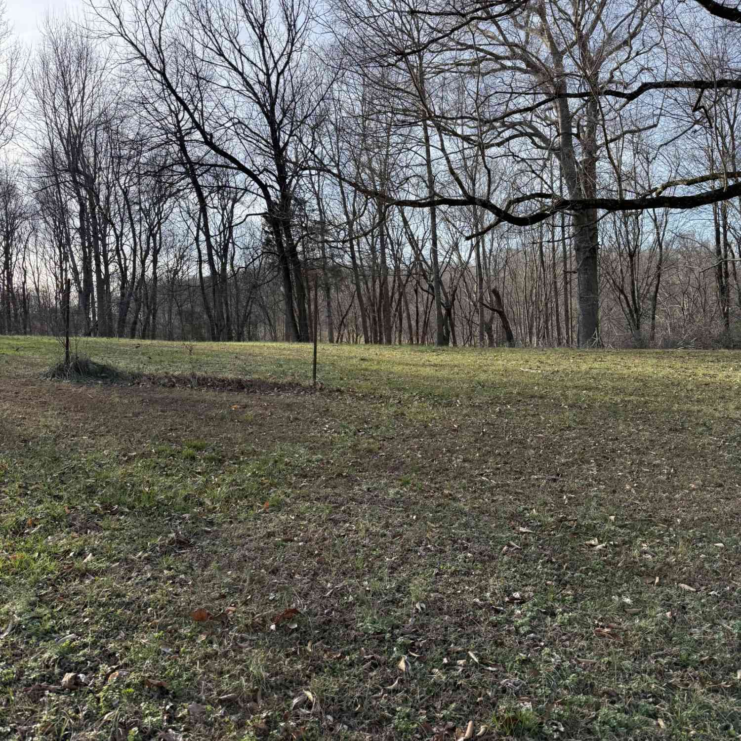 Vacant Land For Sale - N College St<br/> Macon County, Red Boiling Springs, TN 37150