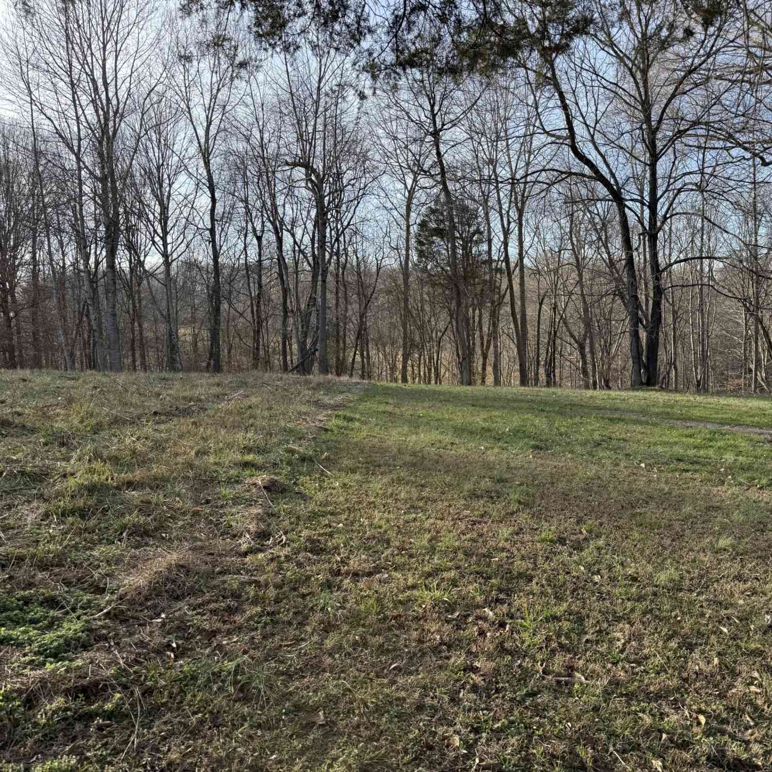 Vacant Land For Sale - N College St<br/> Macon County, Red Boiling Springs, TN 37150