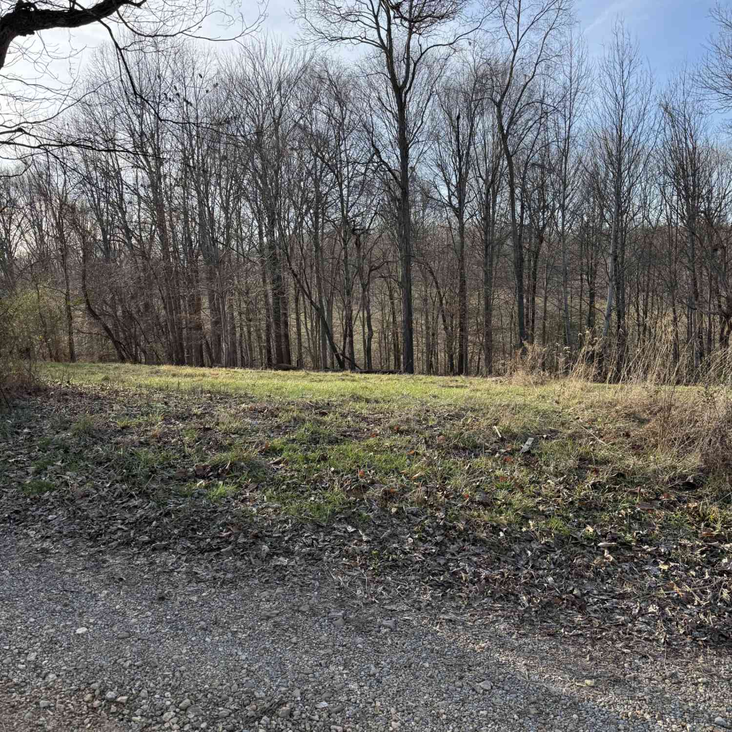 Vacant Land For Sale - N College St<br/> Macon County, Red Boiling Springs, TN 37150