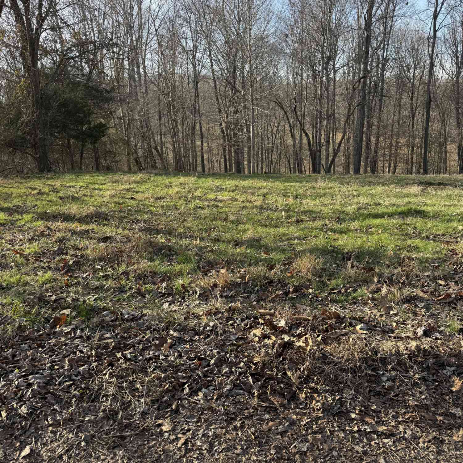 Vacant Land For Sale - N College St<br/> Macon County, Red Boiling Springs, TN 37150