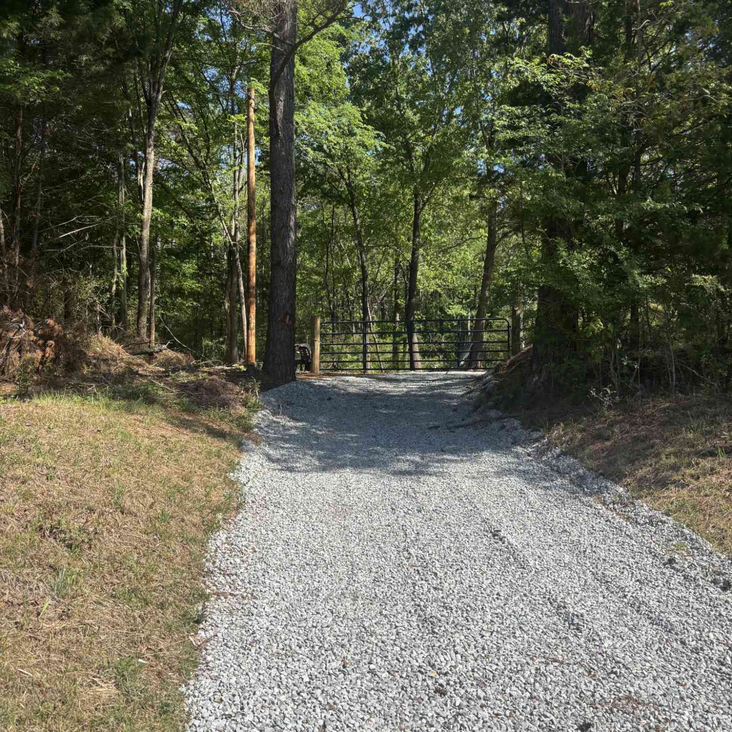 Vacant Land For Sale - Highway 70<br/> Bruceton, TN 38317