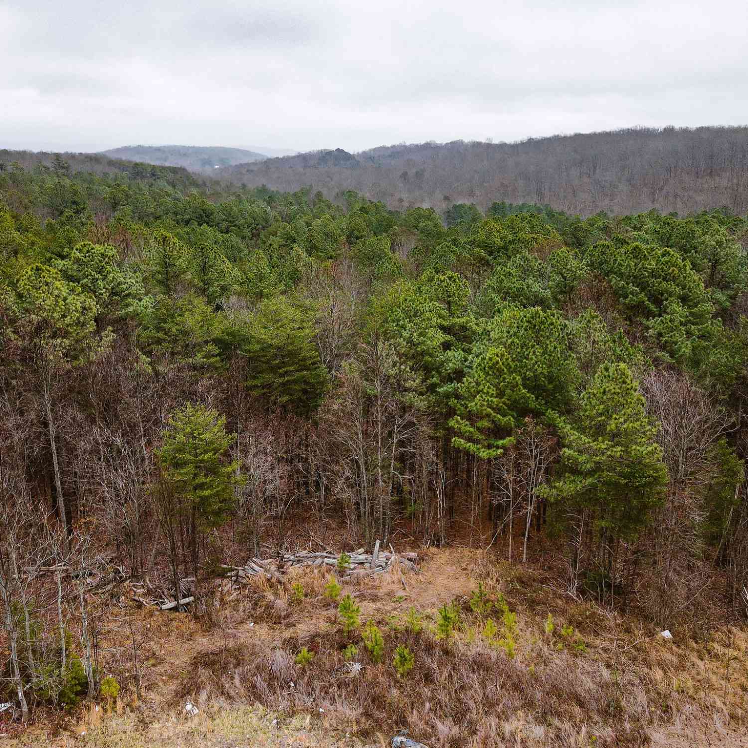 Vacant Land For Sale - Captain Carter Rd<br/> Spencer, TN 38585
