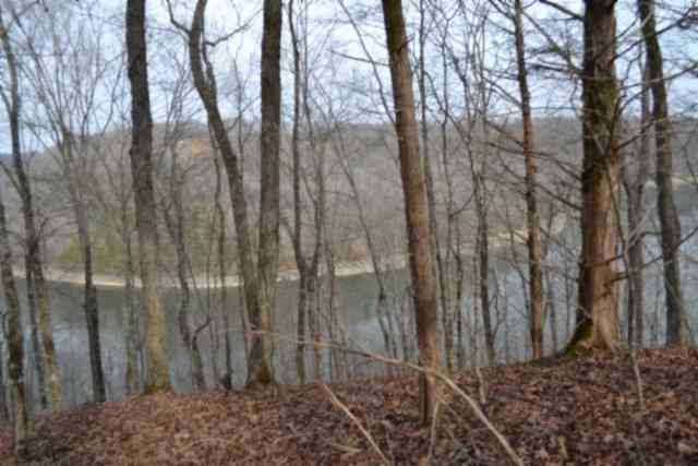Vacant Land For Sale - Garrett Town Lane<br/> Monroe, TN 38573