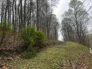 Vacant Land For Sale - Co Rd 197<br/> Athens, TN 37303