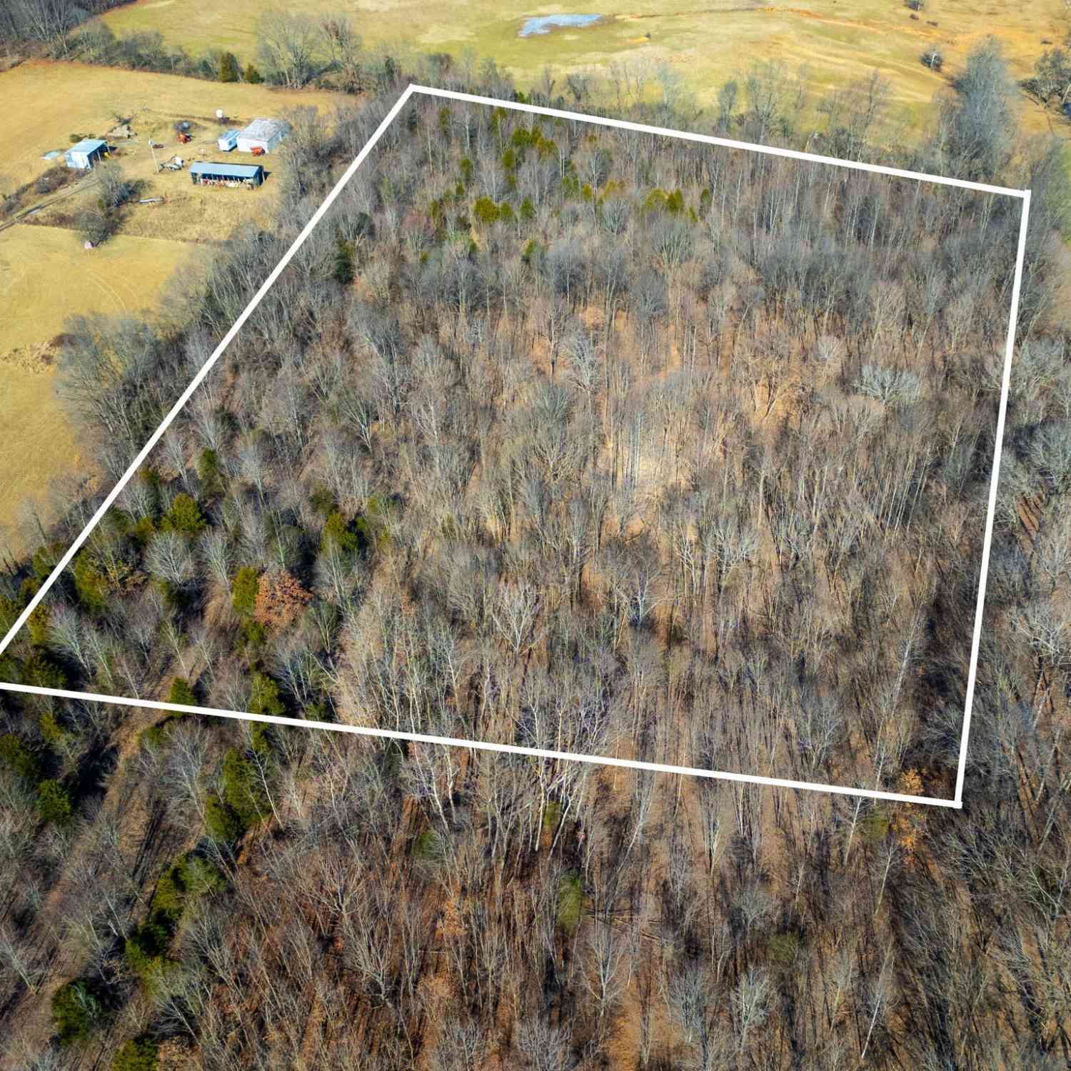 Vacant Land For Sale - Bill Moss Rd<br/> Robertson County County, White House, TN 37188
