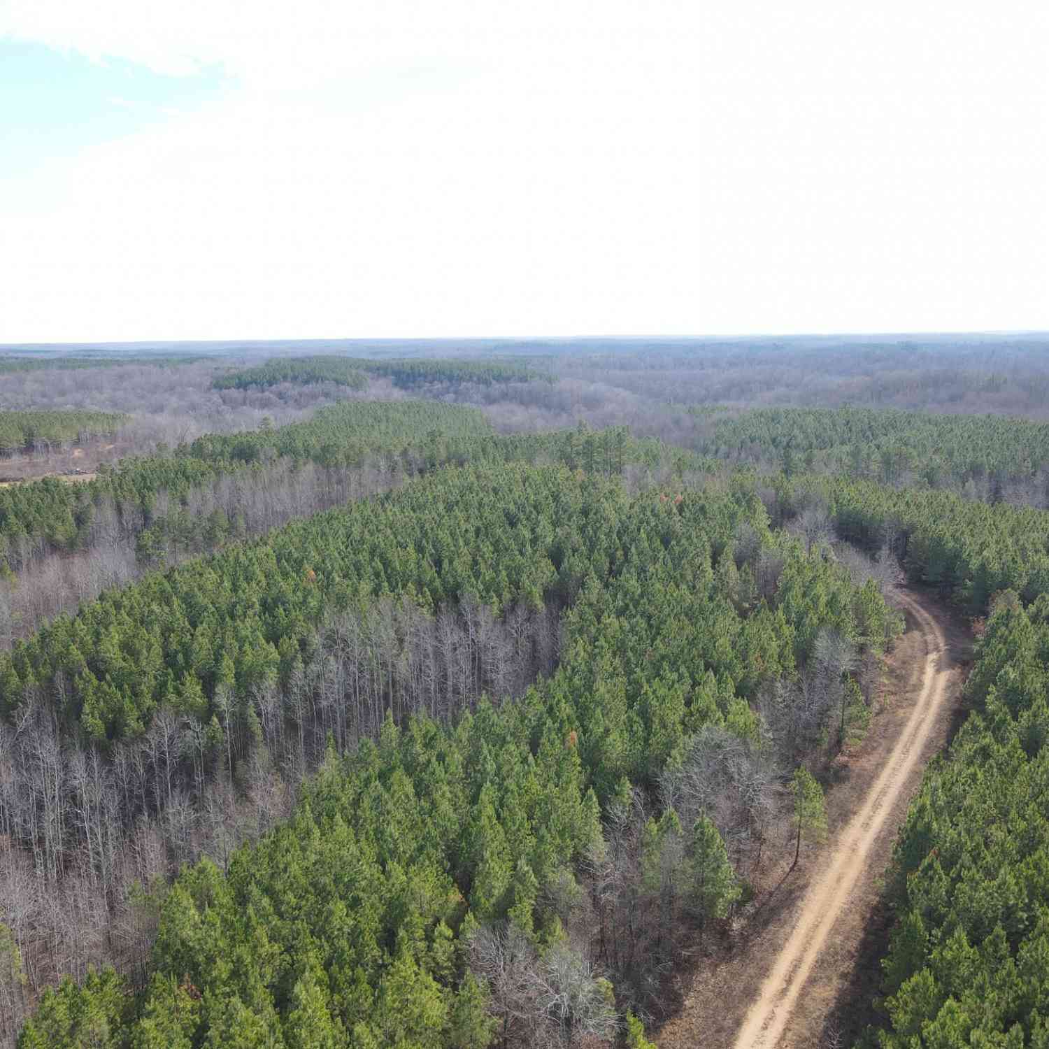 Vacant Land For Sale - North Fork<br/> Stewart, TN 37175