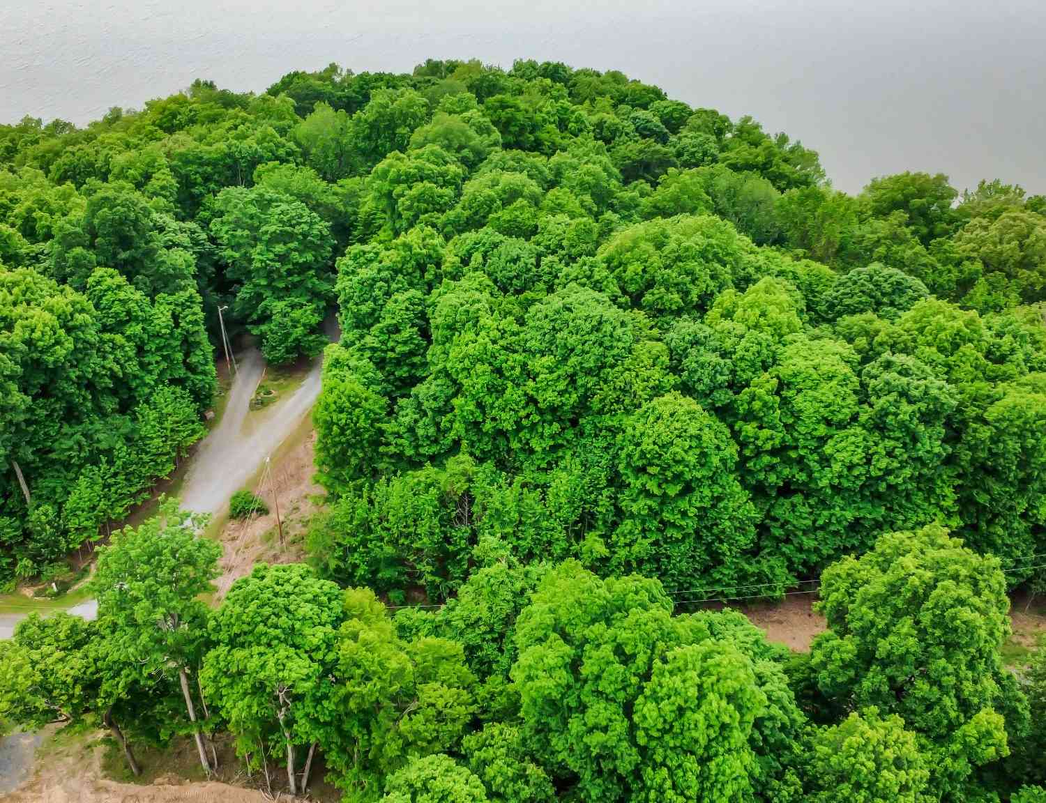 Vacant Land For Sale - Eleanor Way<br/> Trigg County, Cadiz, KY 42211