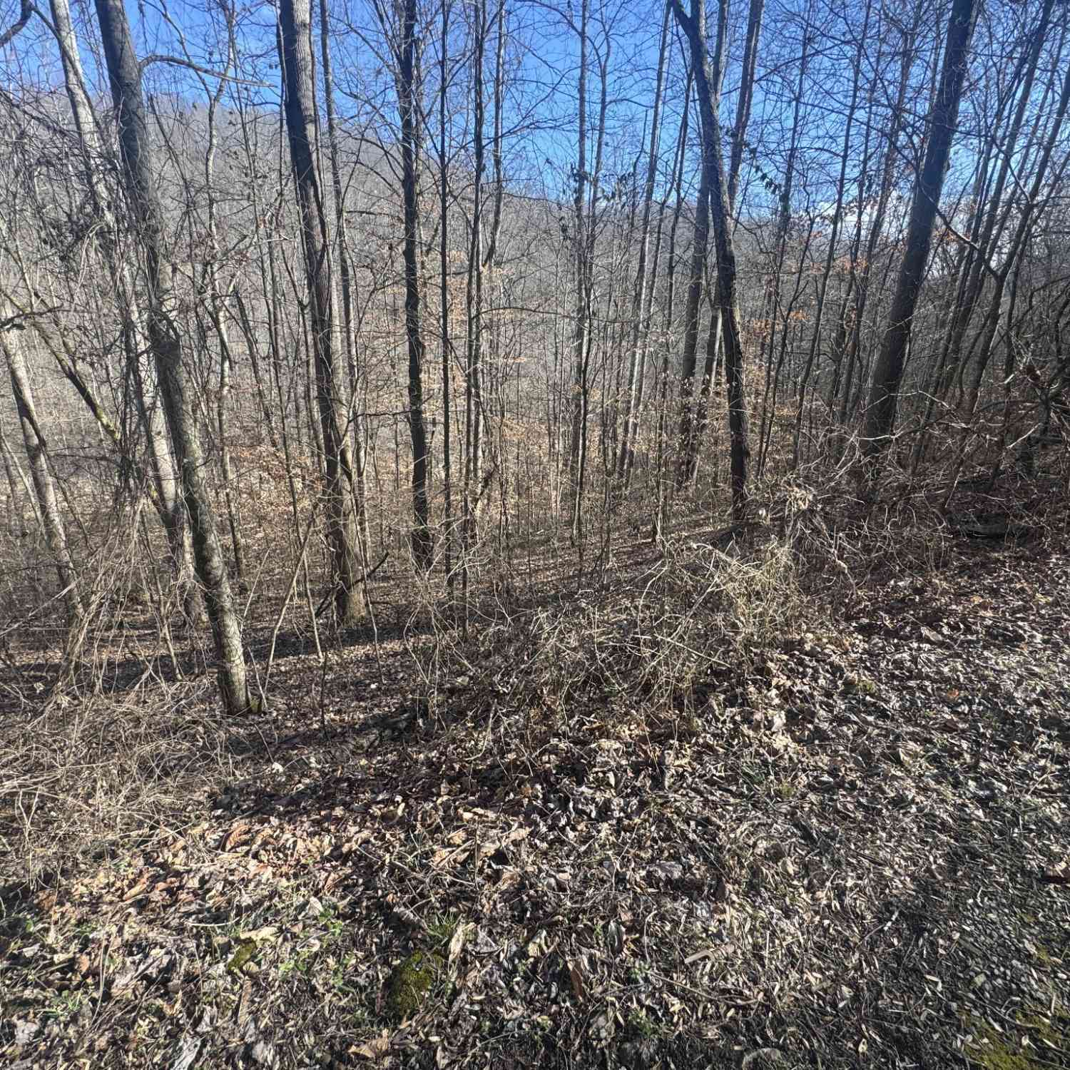 Vacant Land For Sale - Lakeside Dr<br/> Smithville, TN 37166