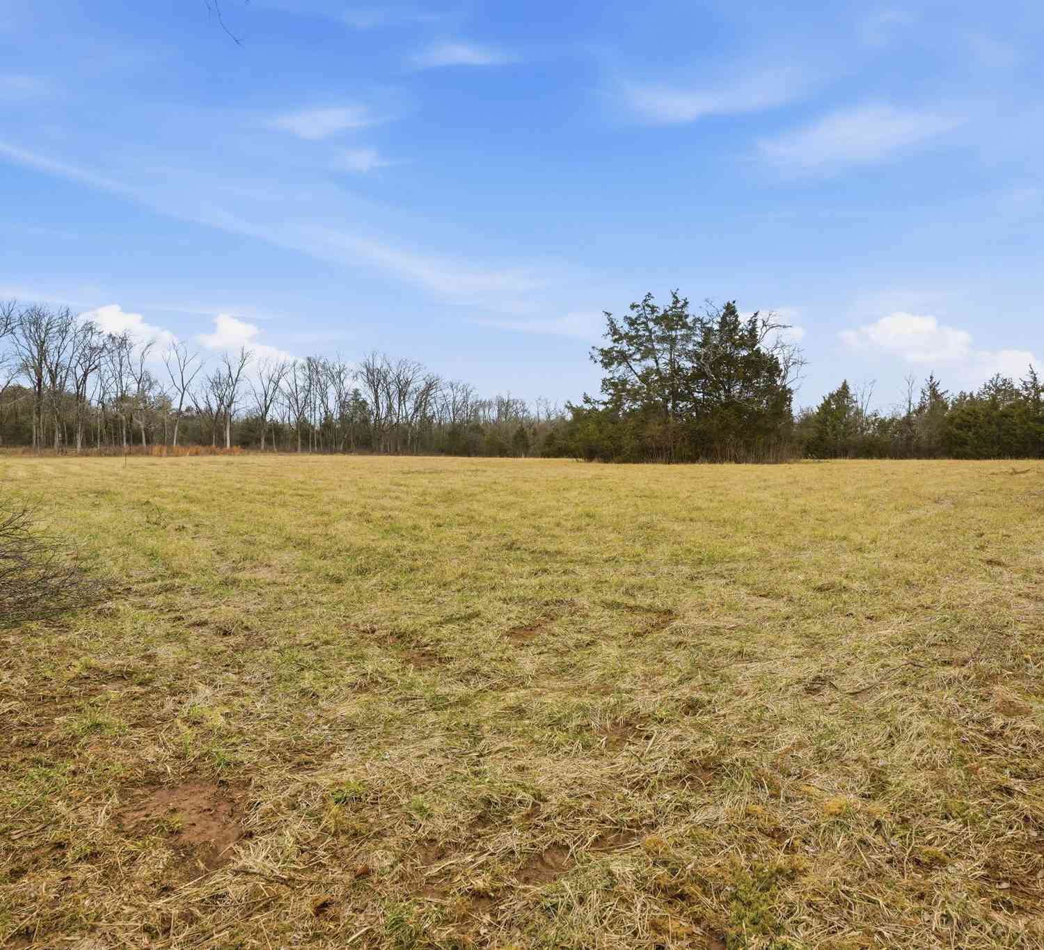 Vacant Land For Sale - Shirley Rd<br/> Smyrna, TN 37167