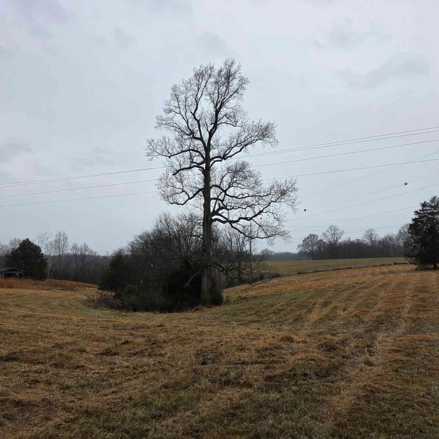 Vacant Land For Sale - Scottsville Rd<br/> Macon County, Lafayette, TN 37083