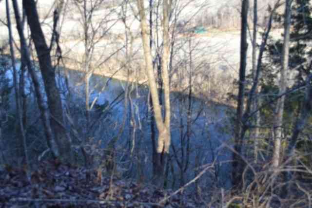 Vacant Land For Sale - Cabin Hill Rd<br/> Celina, TN 38551