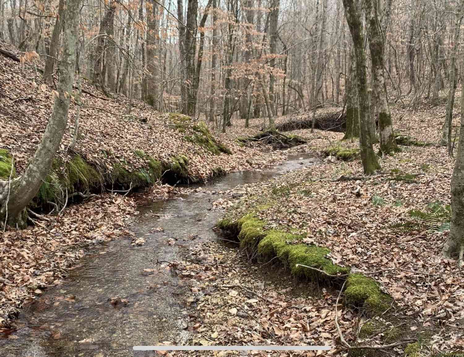 Vacant Land For Sale - West Mackey Rd<br/> Iron City, TN 38463