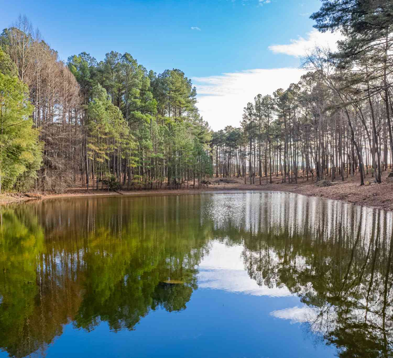 Vacant Land For Sale - Beard Rd<br/> Santa Fe, TN 38482