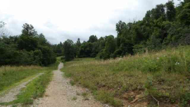 Vacant Land For Sale - Livingston Hwy<br/> Byrdstown, TN 38549