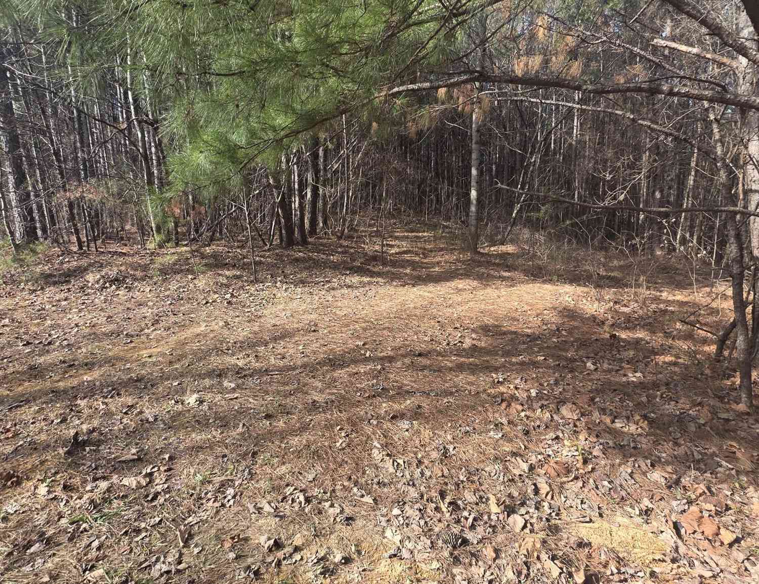 Vacant Land For Sale - 180 Rock Creek Drive<br/> Old Fort, TN 37362