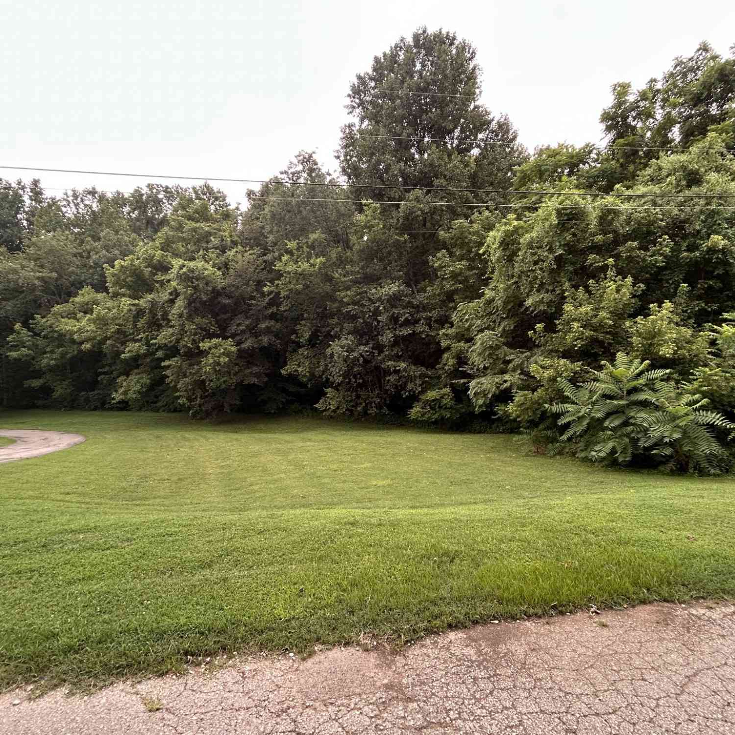 Vacant Land For Sale - Sanders Drive<br/> Carthage, TN 37030