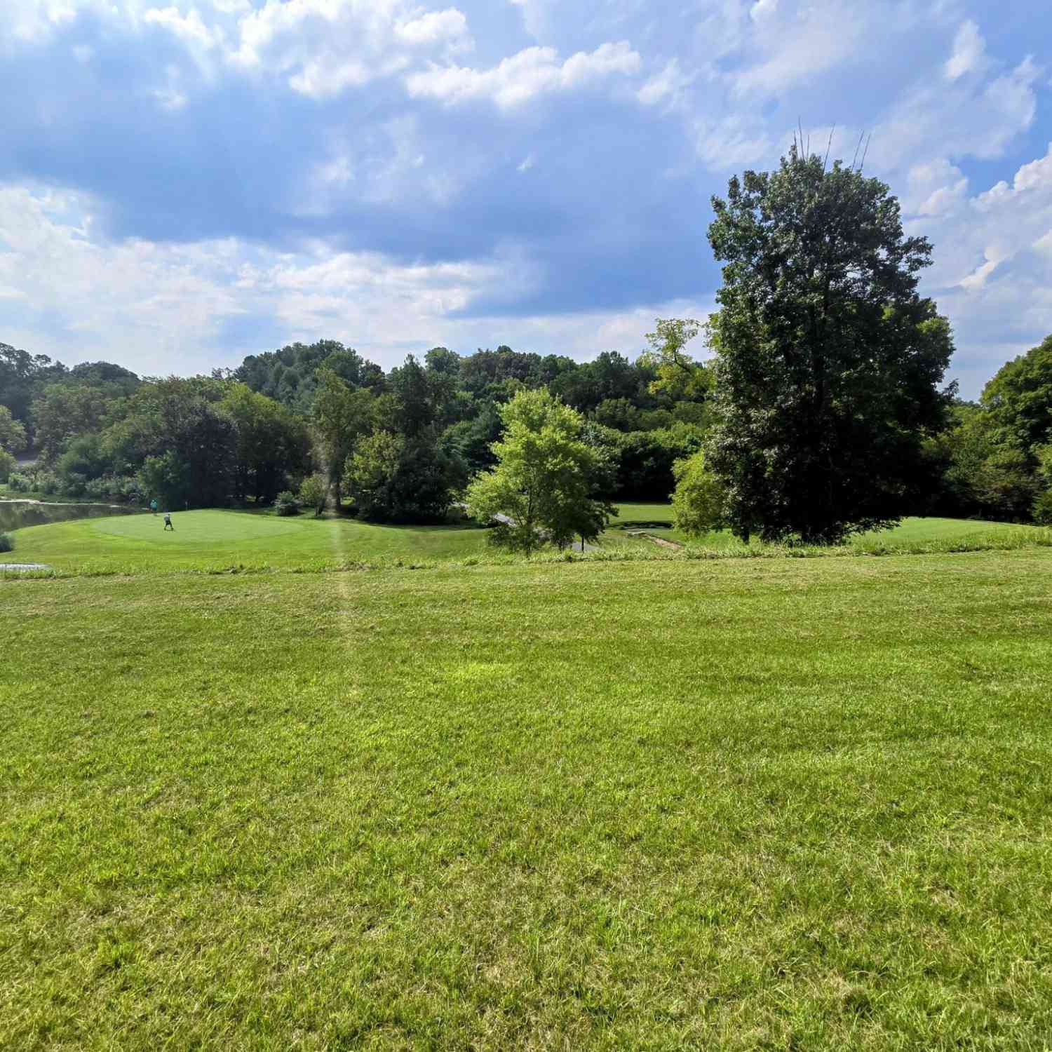 Vacant Land For Sale - 2042 Willow Springs Drive<br/> Athens, TN 37303