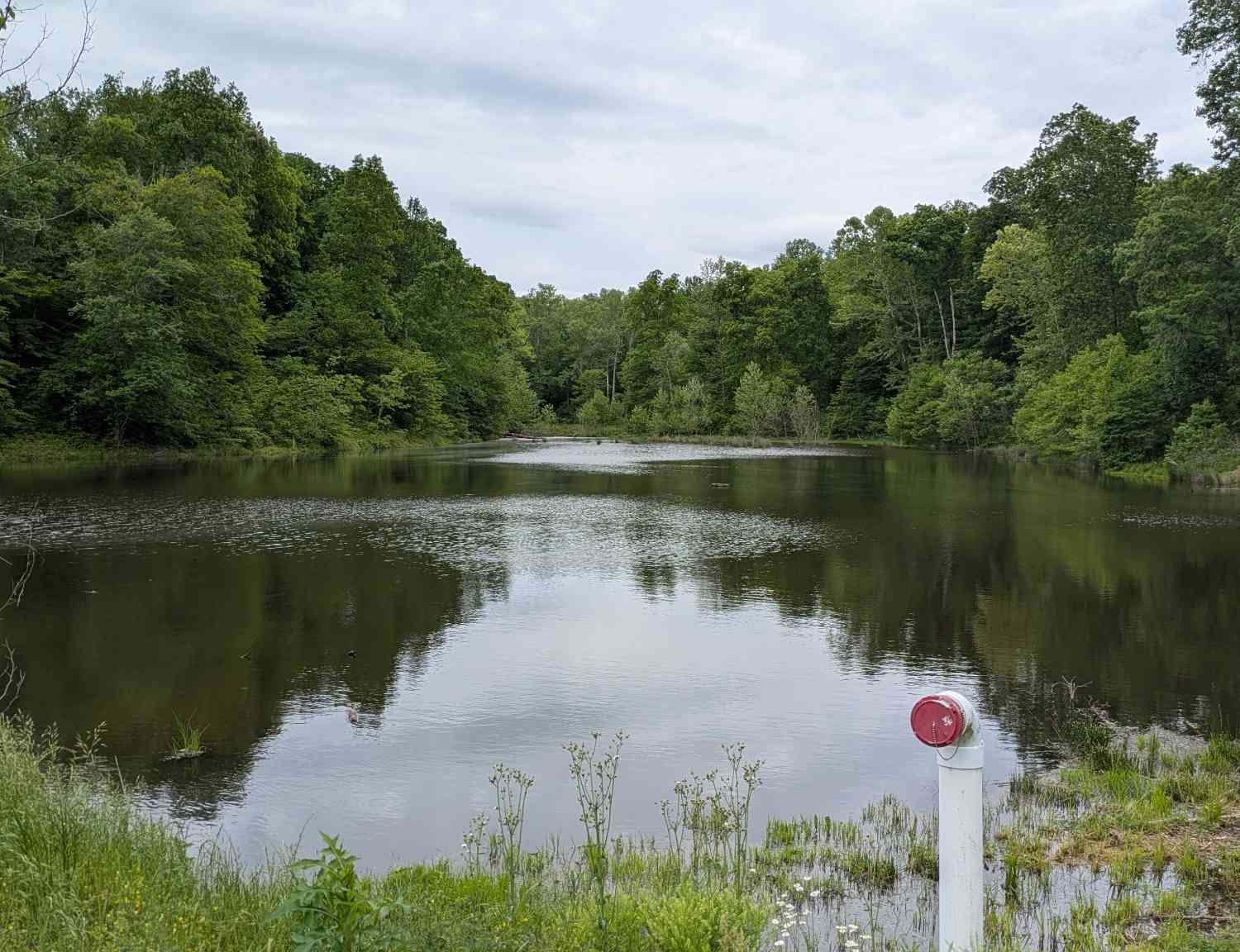 Vacant Land For Sale - 1340 Owl Circ<br/> Hurricane Mills, TN 37078