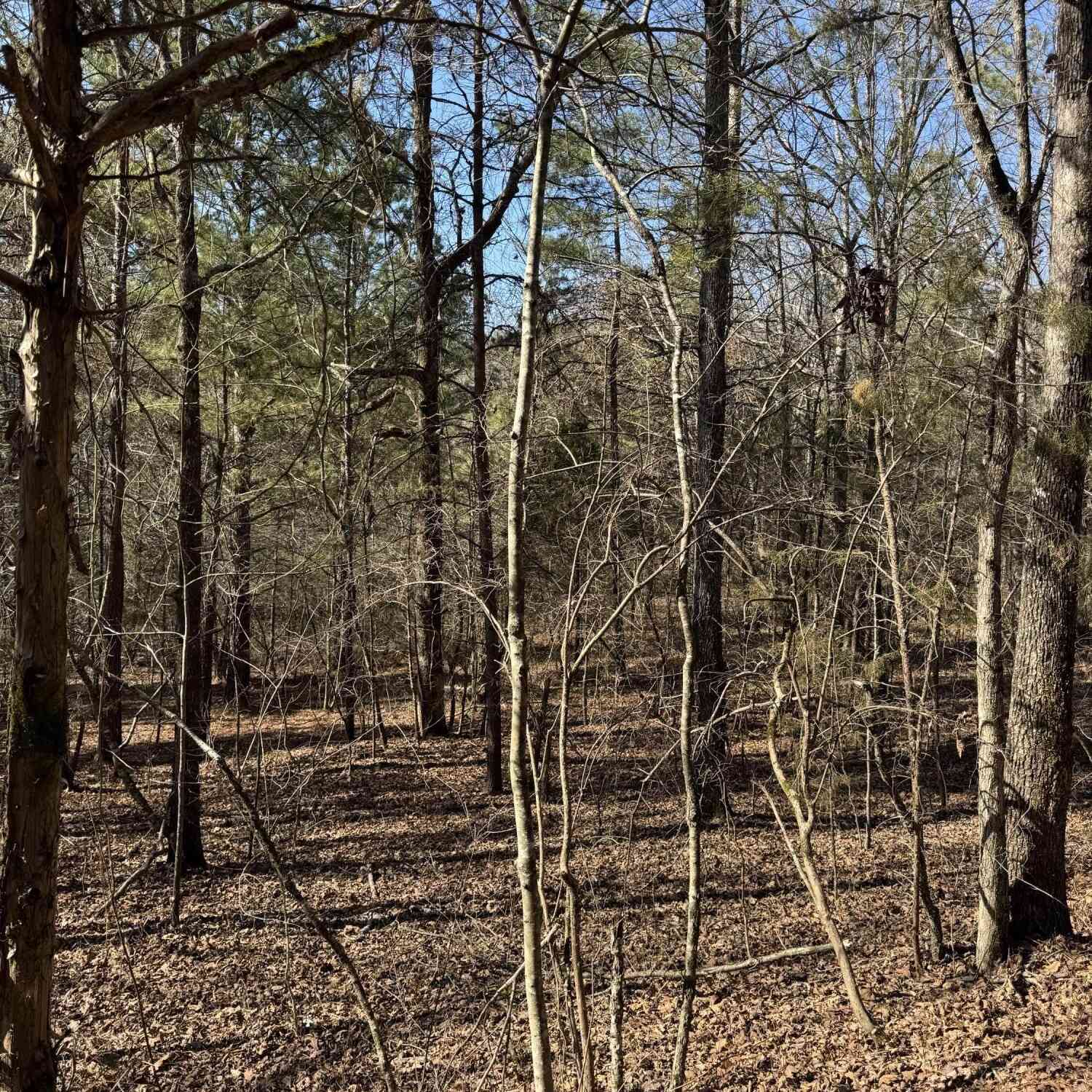 Vacant Land For Sale - 2311 John Wesley Trail<br/> Harrison, TN 37341