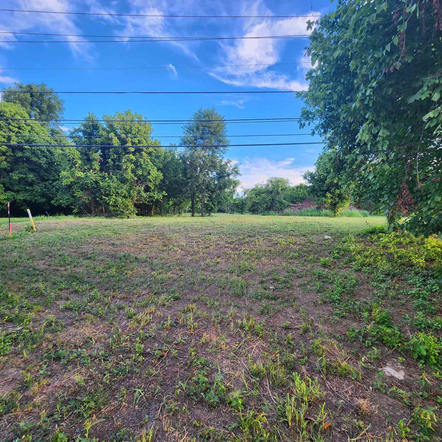 Vacant Land For Sale - Almaville Rd<br/> Smyrna, TN 37167